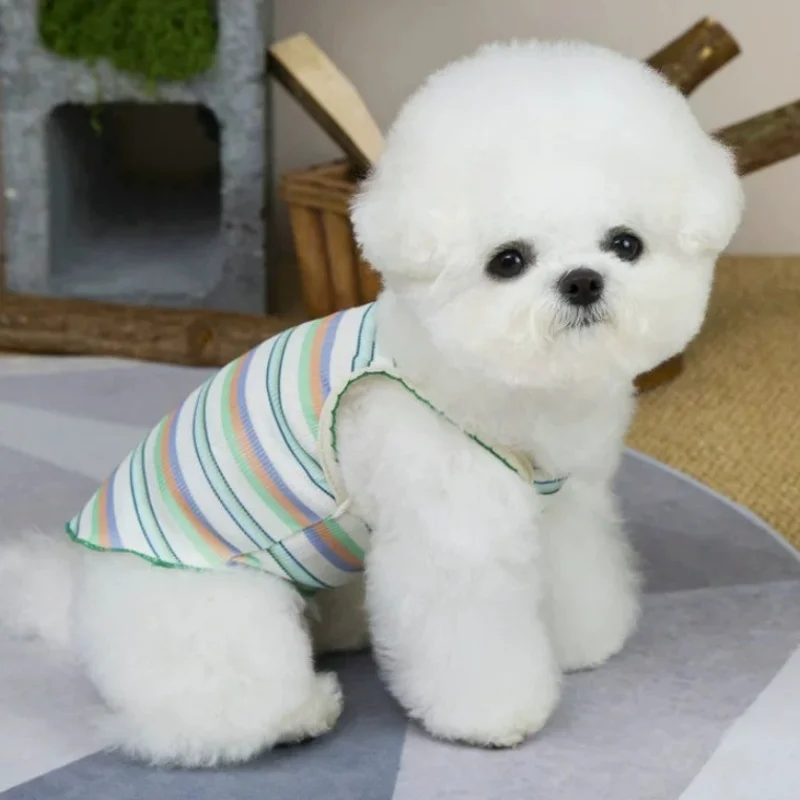 Rainbow Striped Pet Dog Vest Bear Print Dog Singlet Fashion Cute Puppy Tank Top Summer Sling Cat Shirt Poodle Vest Dog Clothes