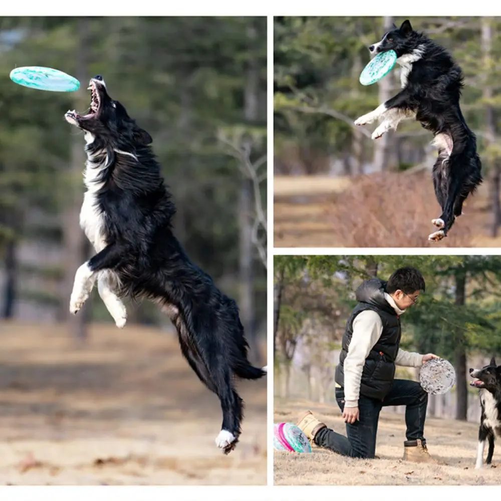 Pet Outdoor Training 24cm Dog Flying Disc Colorful Soft Dog Interactive Bite Resistant PE Pet Floating Relieve Boredom