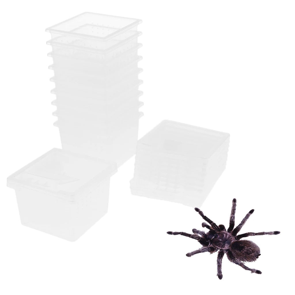 10x Feeding Box Reptile Cage Hatching Container Rearing Tank Clear Reptile Vivarium Terrarium Insect Rearing Box Food Feeding