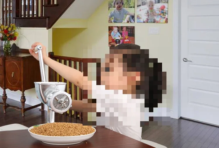 Pequena casa manual tordo máquina de pelota de alimentação peixe frango cão pelotaizador de alimentos mão pelletizador máquina de alimentação