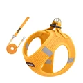 Yellow 1