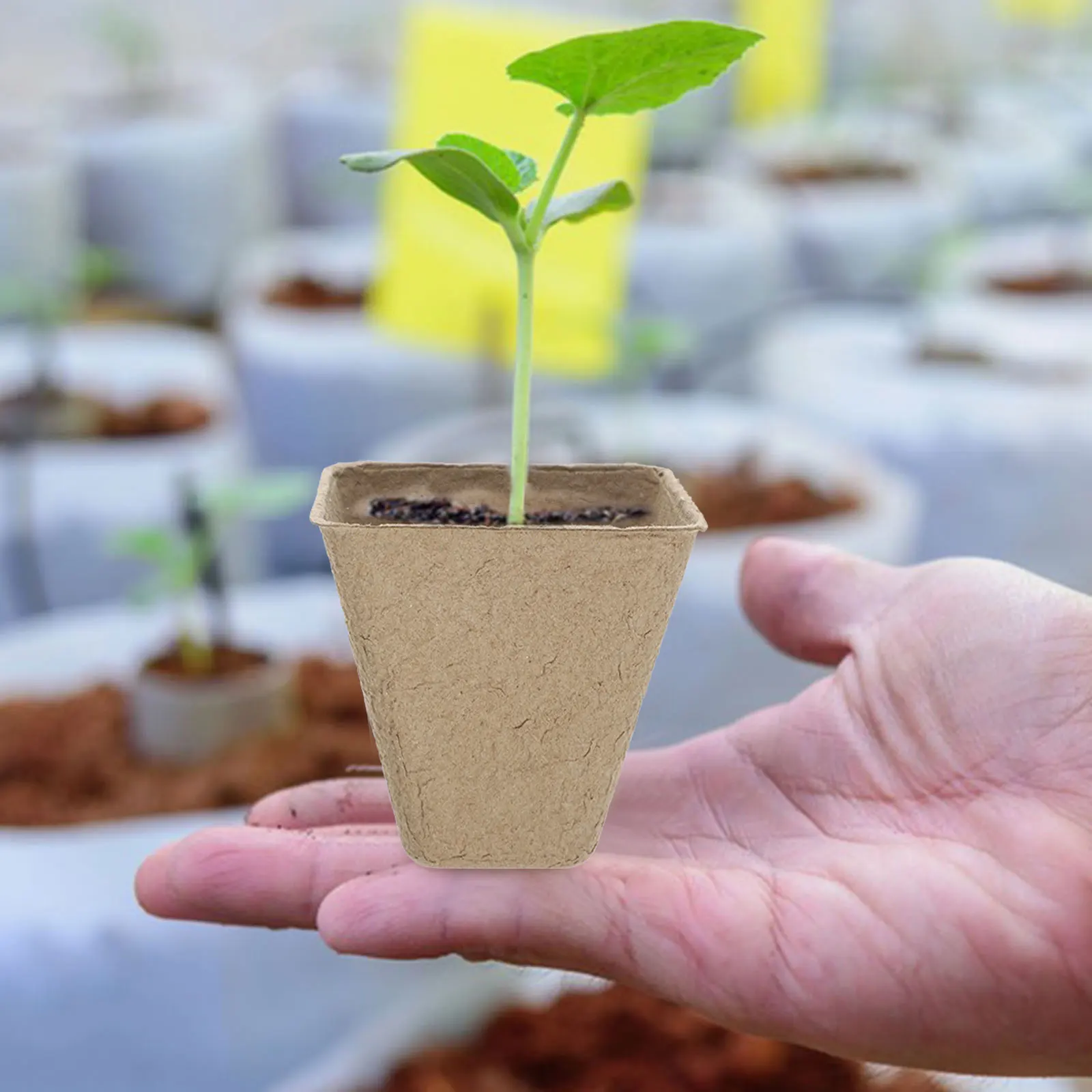 1 Set Seedling Pots… - image