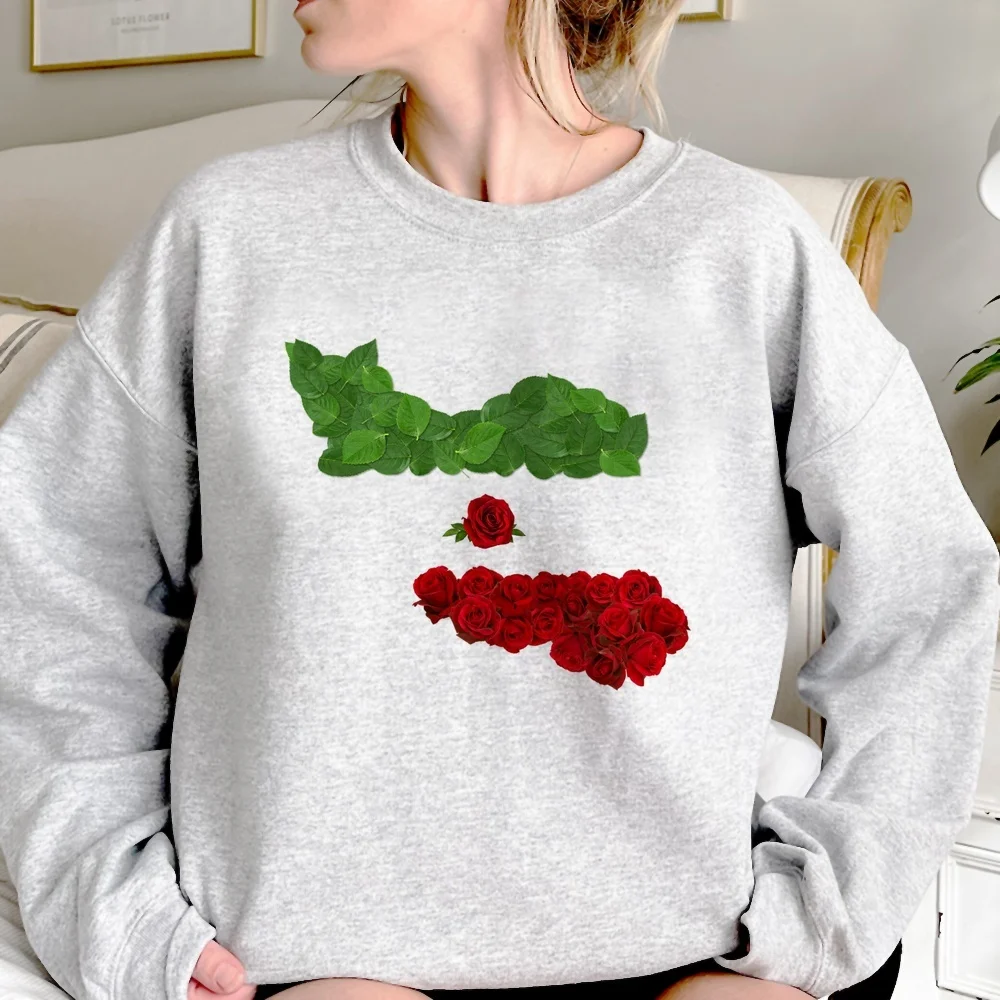 Lion And Sun Iran hoodie sweatshirt goth hoodie korean style fashion tops funny pullover