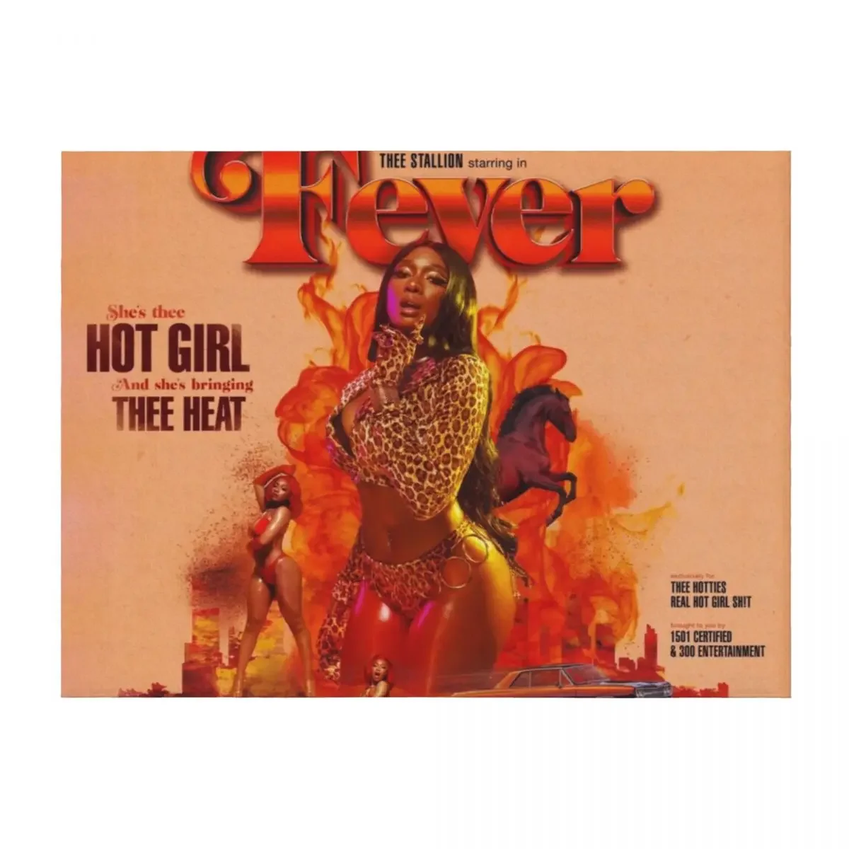 

Megan thee Stallion - FEVER Throw Blanket Comforter Plaid cosplay anime christmas decoration Blankets