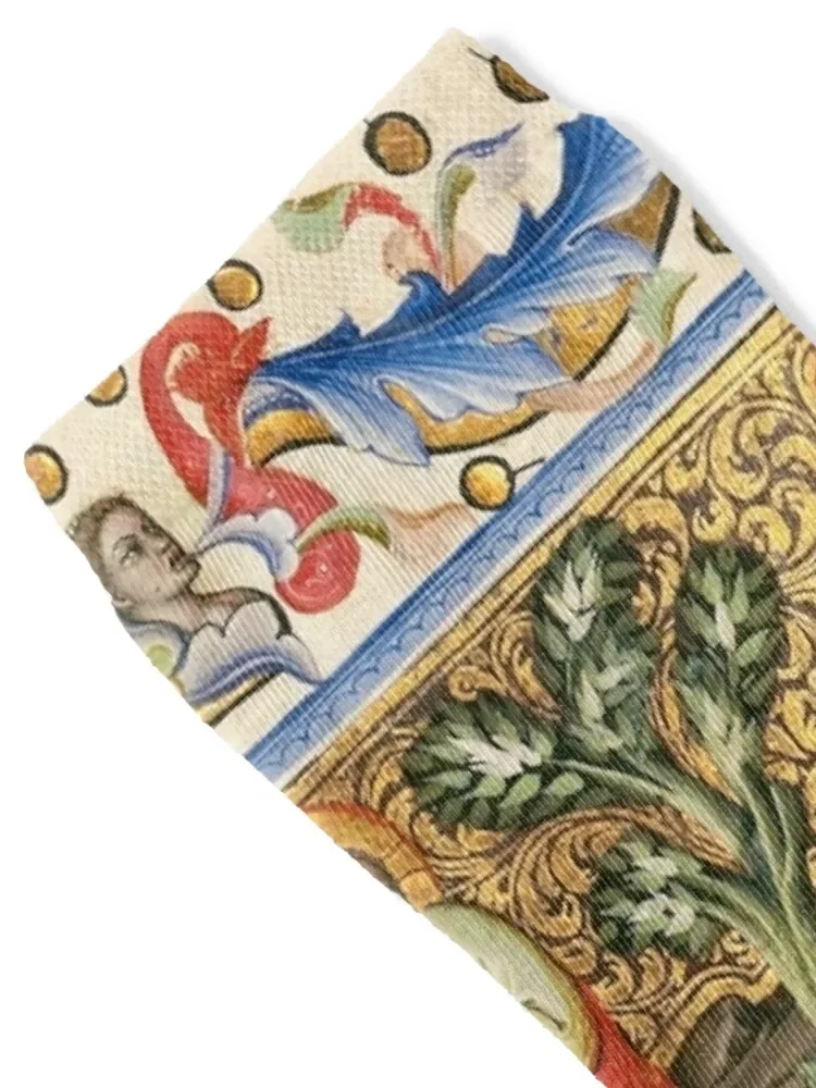 Medieval illuminated manuscript. medieval miniature Socks Lots Climbing Stockings compression winter thermal Men Socks Women's