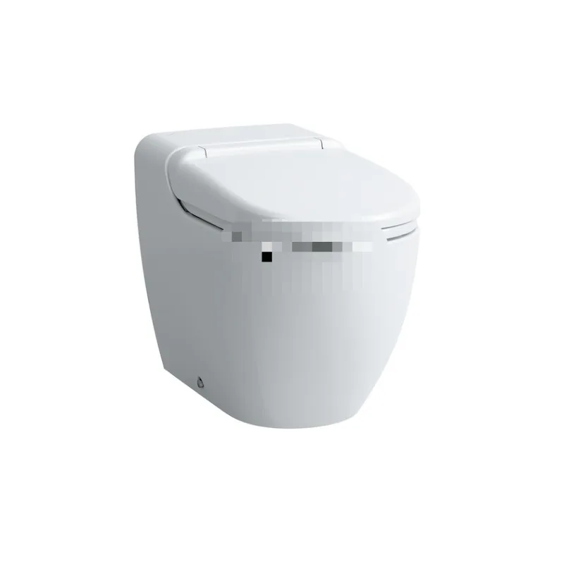 Intelligent all-in-one toilet 821887