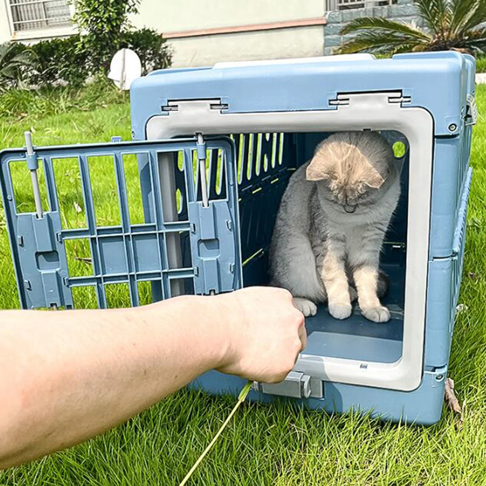 Thumbnail 4 - #1 Trending Puppy Travel Crates Right Now