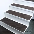 Brown 04