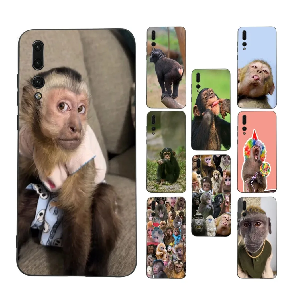 Monkey Sipping Caprisun Meme Phone Case For Huawei P 8 9 10 20 30 40 50 Pro Lite Psmart Honor 10 lite 70 Mate 20lite