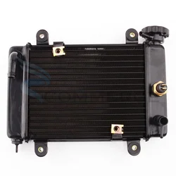 Radiator Water Cooler Cooling Water Tank Fit for China 150cc 200cc 250cc ATV UTV Buggy 4x4 Quad Bike Motorcycle Accessories