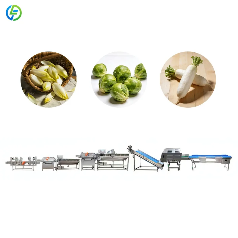 Customized Turnkey Fruit Grading and Vegetable Sorting Line for Food Plant  Leafy Vegetables