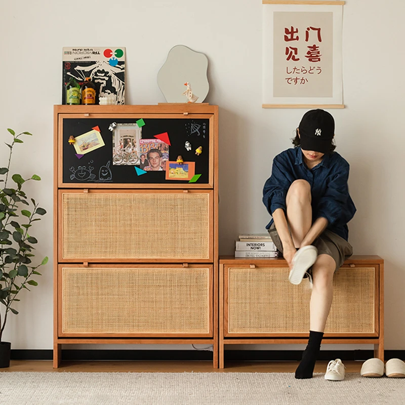 

Interior Living Shoe Cabinet Entrance Storage Display Niche Shoe Cabinet Shelves For Room Armario Zapatero Luxury Furniture