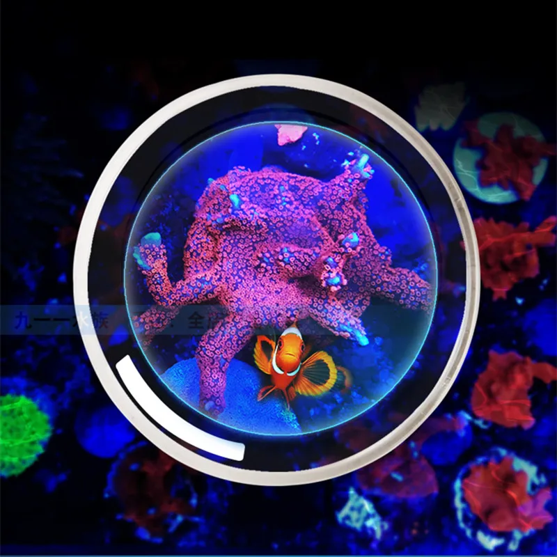 Marine Sources Aquarium Reef Tank Tools SPS LPS Viewing Mirror Water Magnifying Glass Water Surface Observation Photography
