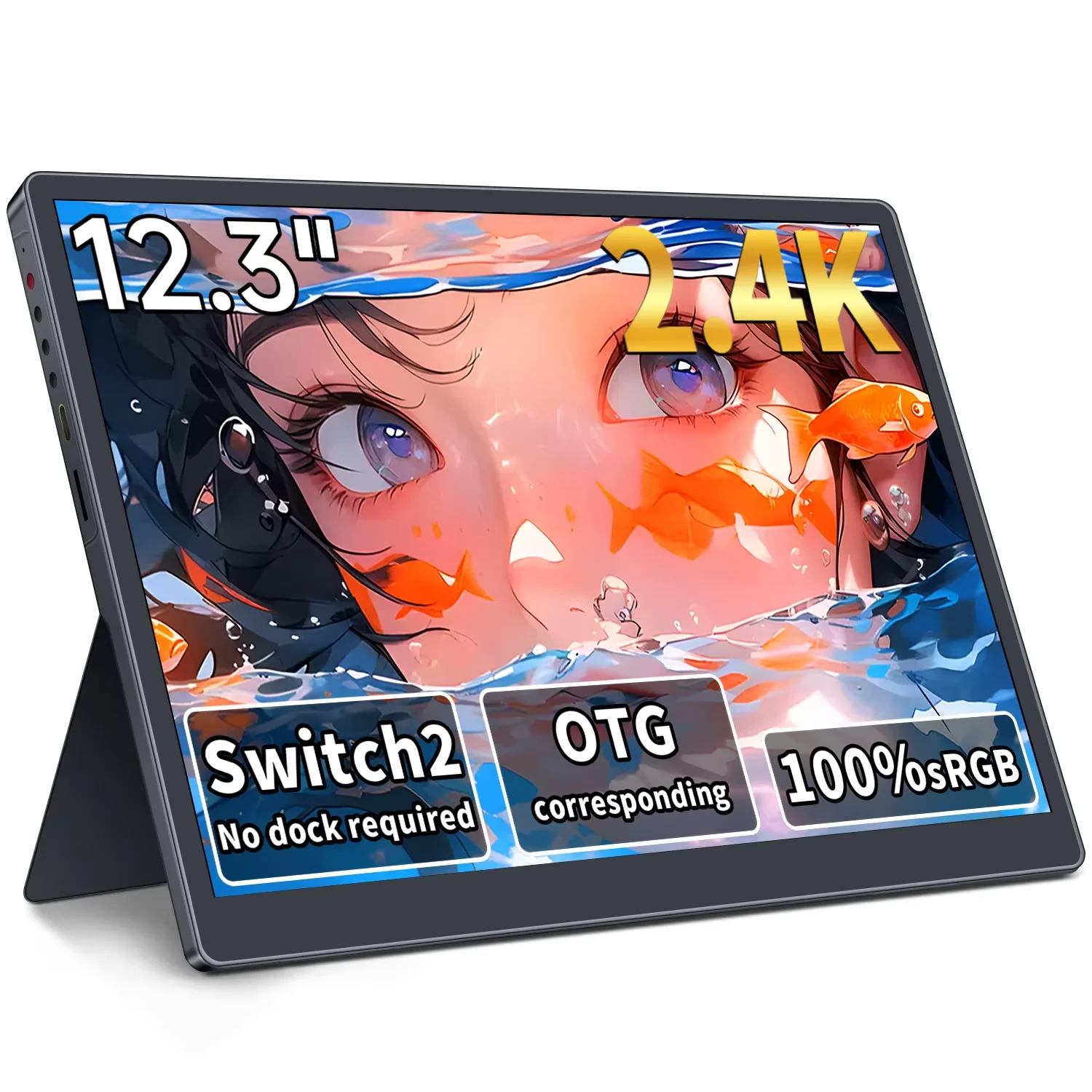 HAILESI S123 Portable Monitor 12.3 Inches, 2.4K, 2400x1600, Switch 2 Dock Not Required, OTG Compatible, 3:2 Screen 380nit