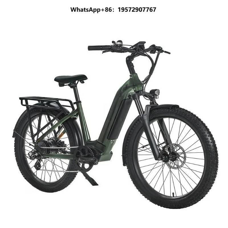 48V 750W Electric Bike High Speed Electric Mountain Bike
