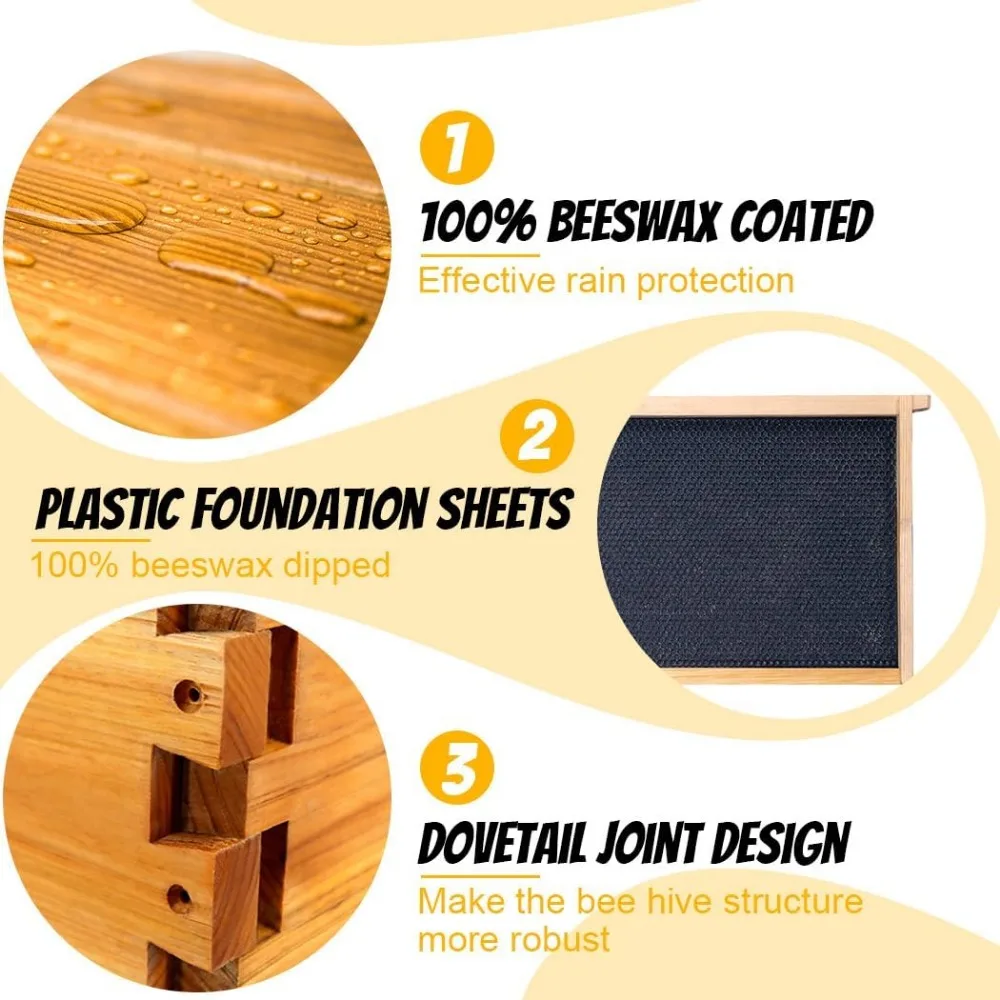 مجموعة أدوات تشغيل صناديق خلية النحل مكونة من 10 إطارات لمربي النحل المغموس في شمع العسل، مجموعة خلية النحل الكاملة تتضمن صندوقًا عميقًا #5