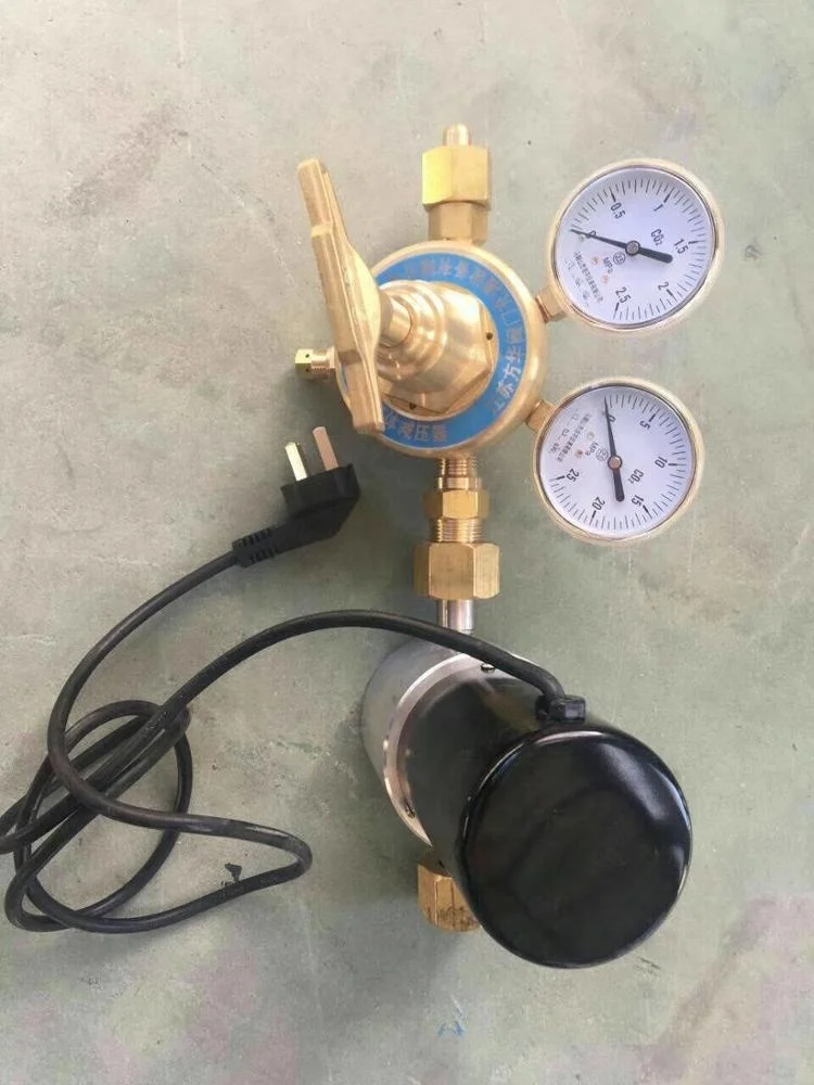 220V power supply Electrically heated CO2 gas pressure regulator all brass material