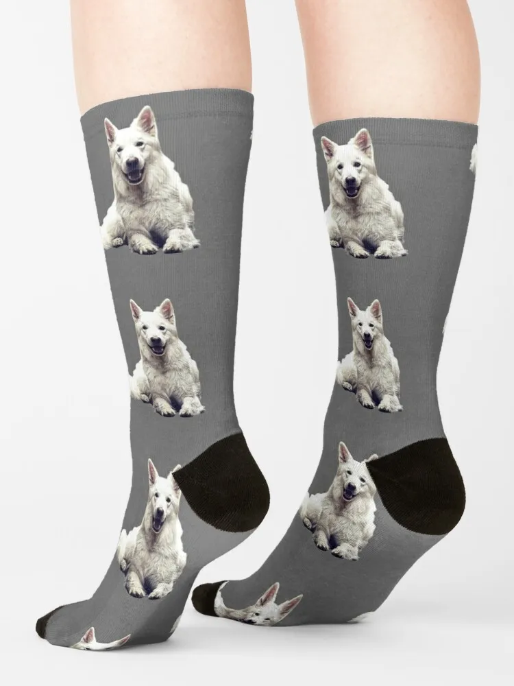 White Swiss Shepherd Dog Socks Sports Socks For Men