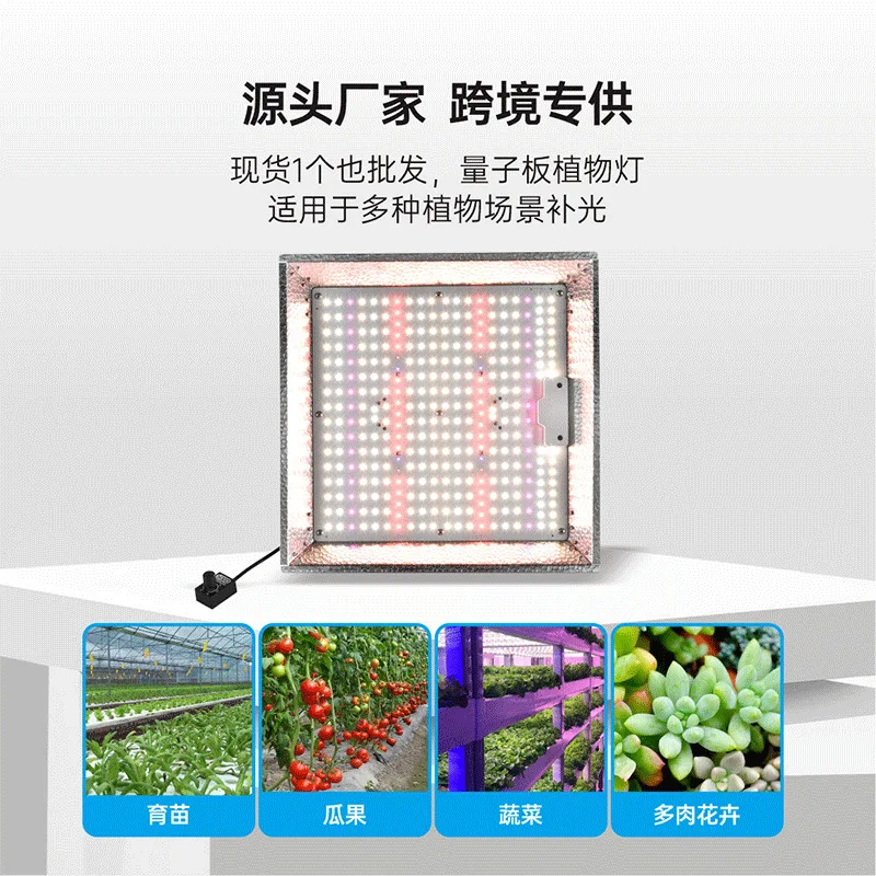 2025 Sheet Metal Cover LED Plant Fill Light Dimmable 100W Rainproof Plant Growth Light Multi-purpose Plant Seeding Light Hot