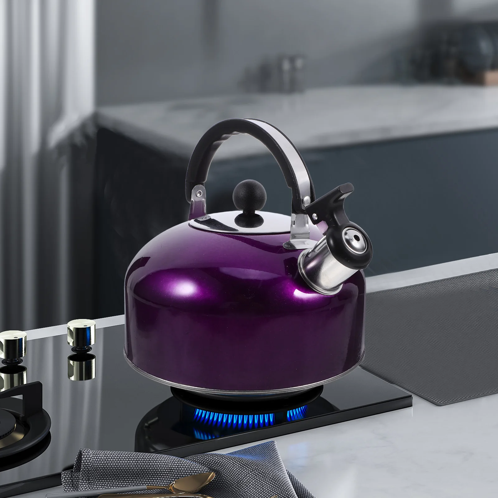 

Stainless Steel Spherical Whistling Kettle Hot Water Heater with Handle for Home Kitchen Long Life Boiling Tea Coffee
