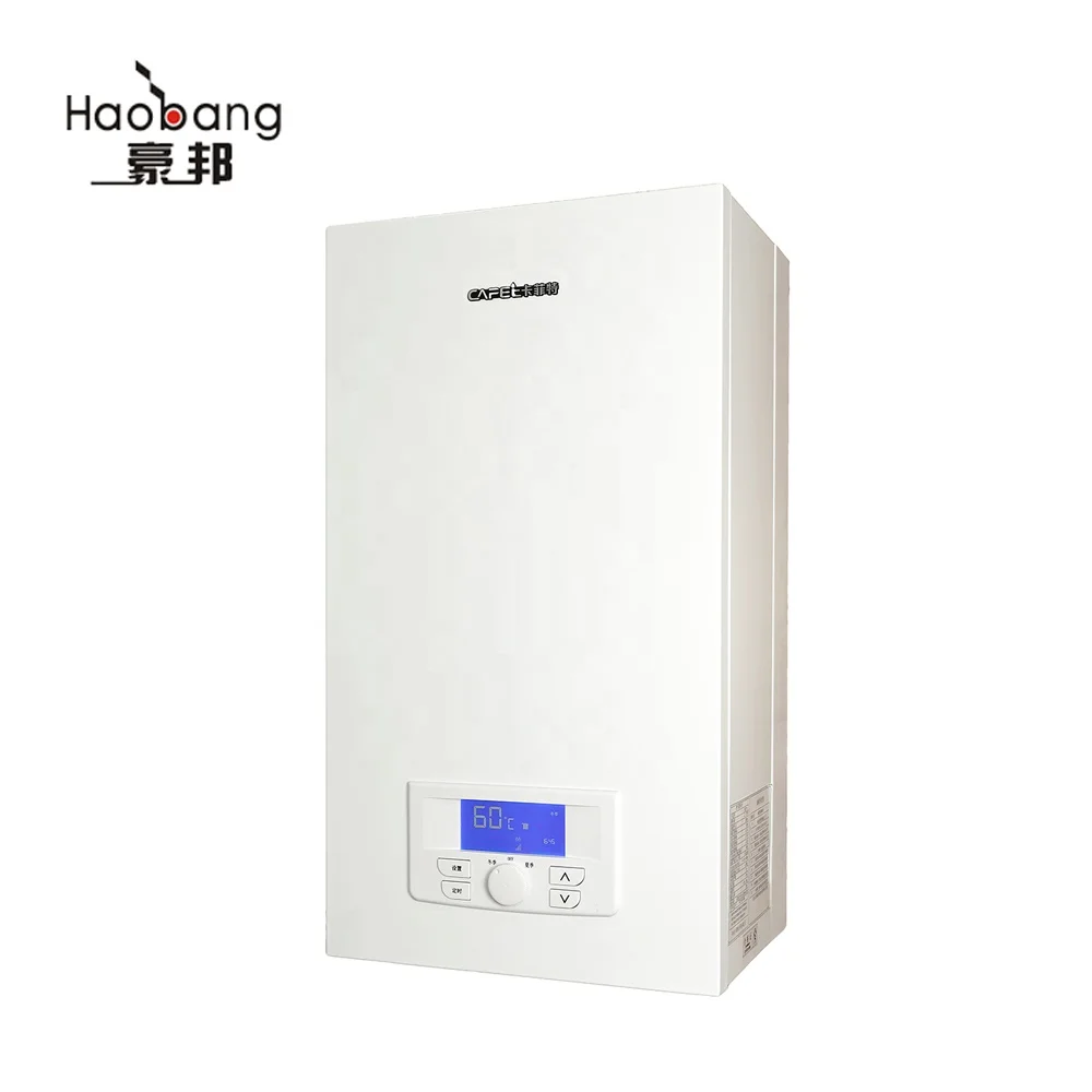 China Domestic Wall-Hung Combi Gas Boiler Double Heat Exchanger For Natural Gas For Households Featuring Copper Technology