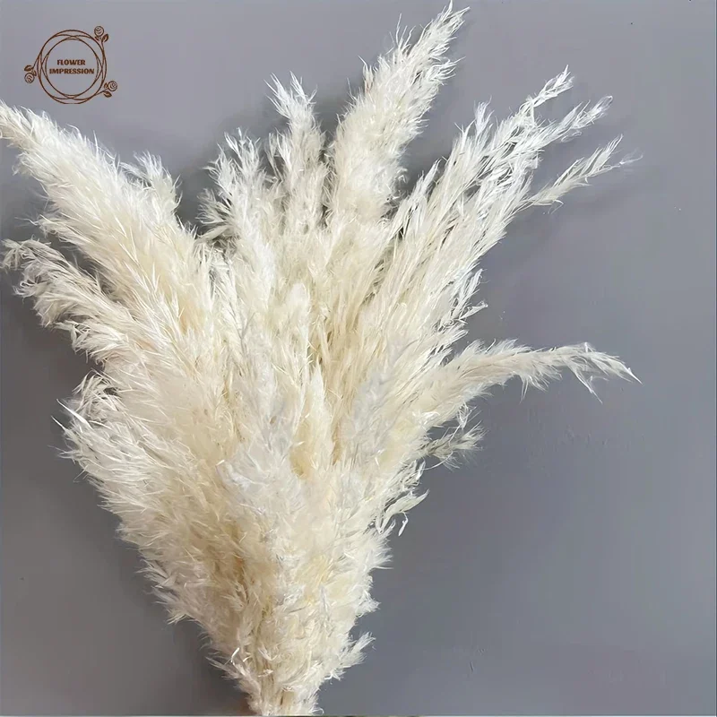 Natural White Pampas Grass Decor Dried Flowers Farmhouse Boho Home Tables Decoration Christmas Party Supplies Artificial Flower