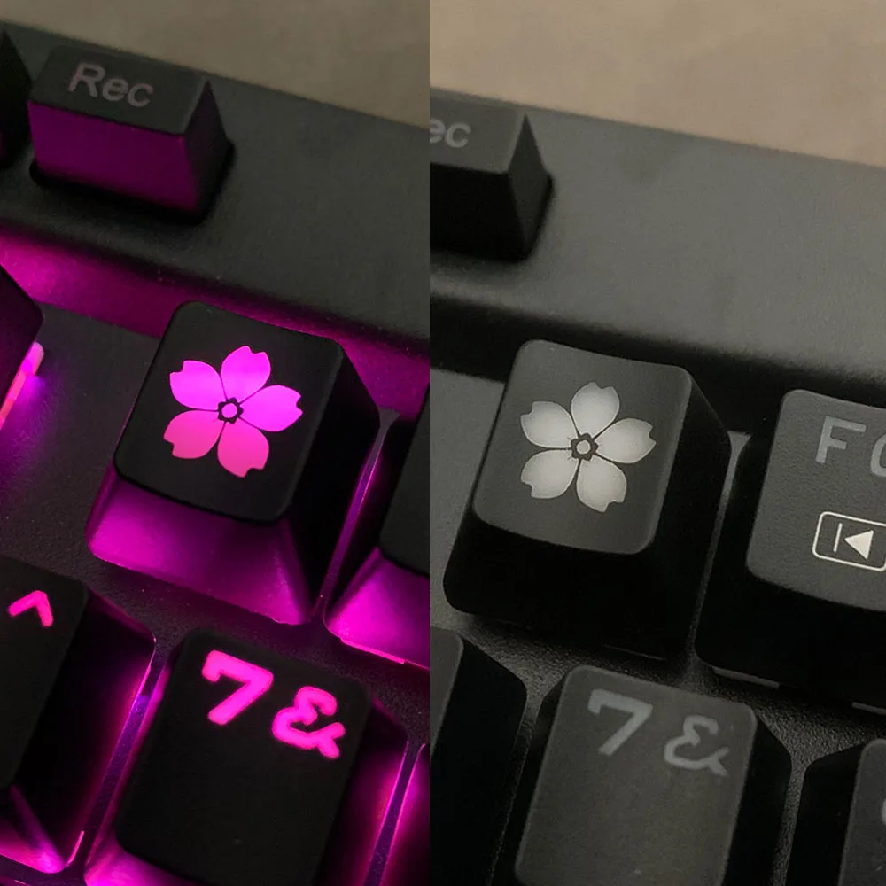 R4 ESC Keycaps Mechanical Keyboard OEM Arrow Keycaps Backlit Caps for Cross Axis Gaming Keyboards Key Cap