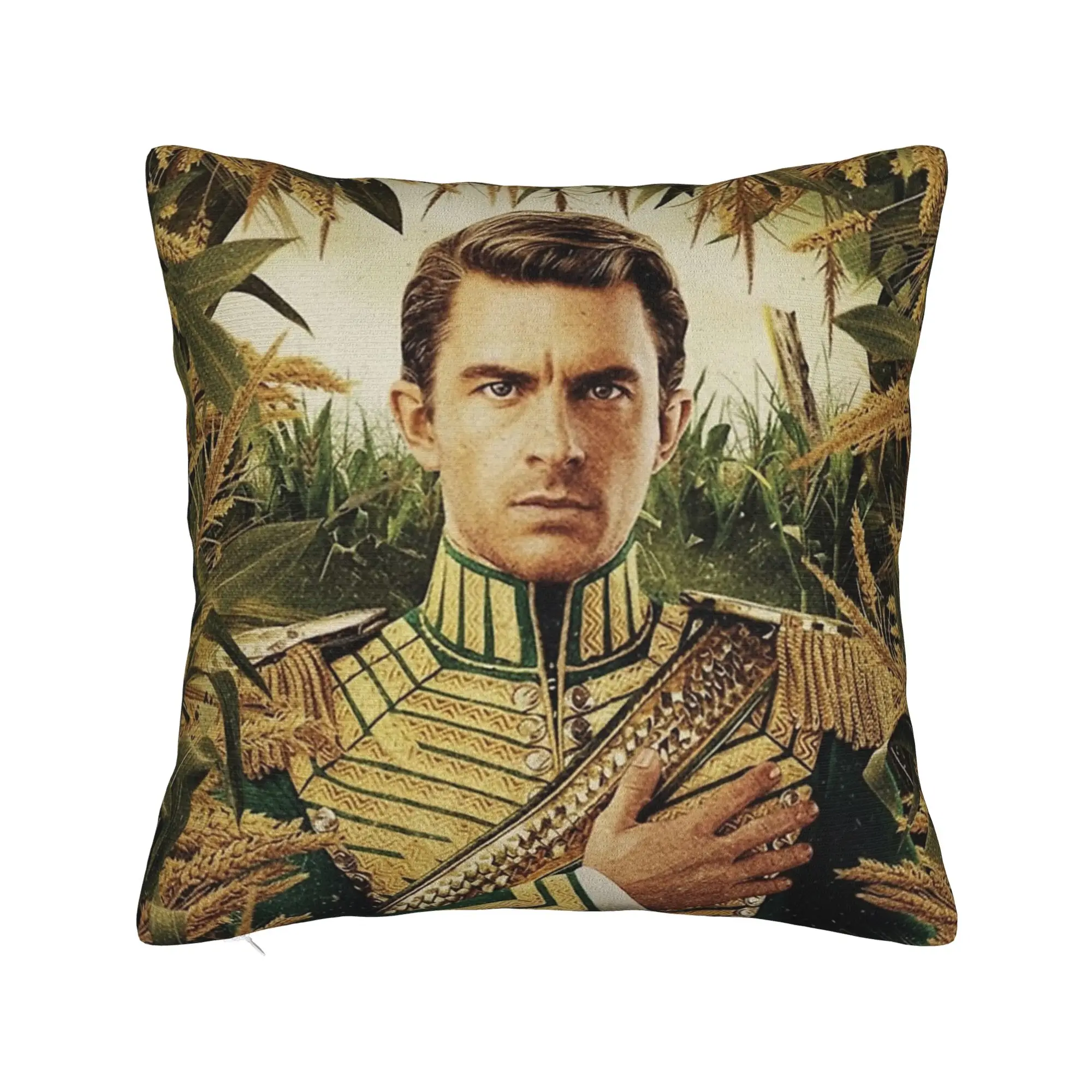 Jonathan Bailey as Fiyero Wicked Movie Pillowcase Soft Polyester Cushion Cover Decor  Pillow Case Cover Sofa Square 45X45cm