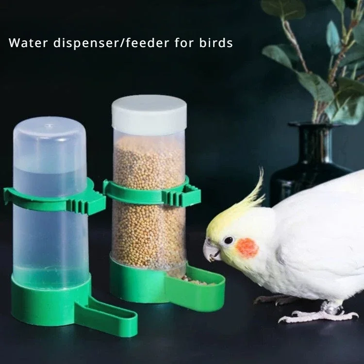 Alimentador de agua automático para loros, caja de comida para pájaros, accesorios para jaulas, comedero para aves de corral