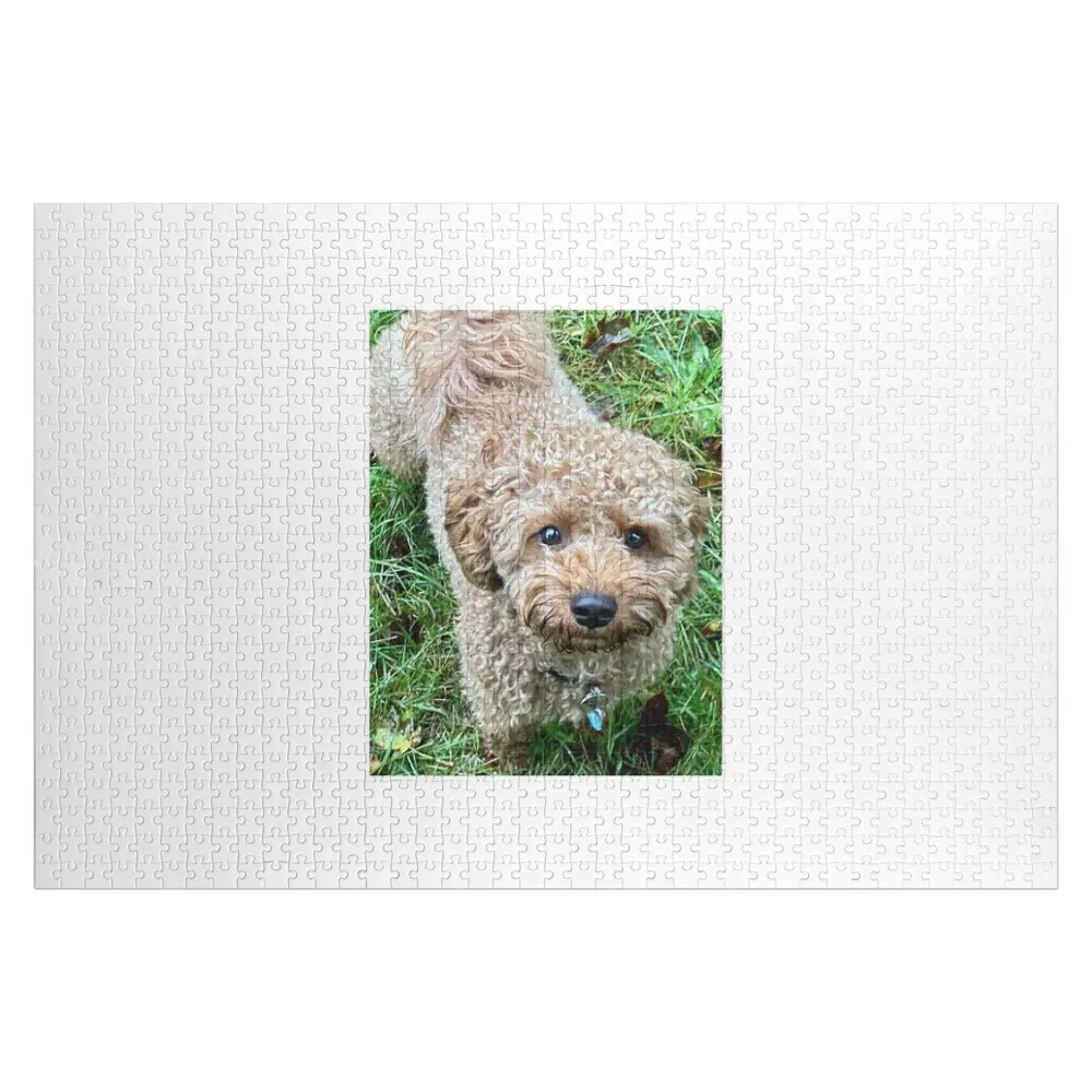 

Jared Jigsaw Puzzle Custom Gifts Custom Gift Toys For Children Puzzle