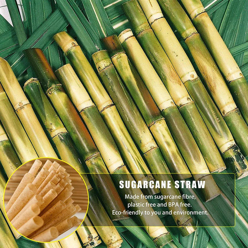 200pcs Disposable Straws Sugar Cane Straws Compostable Drinking Cocktail Straw Kitchen Beverage Accessories Festival Kitchen