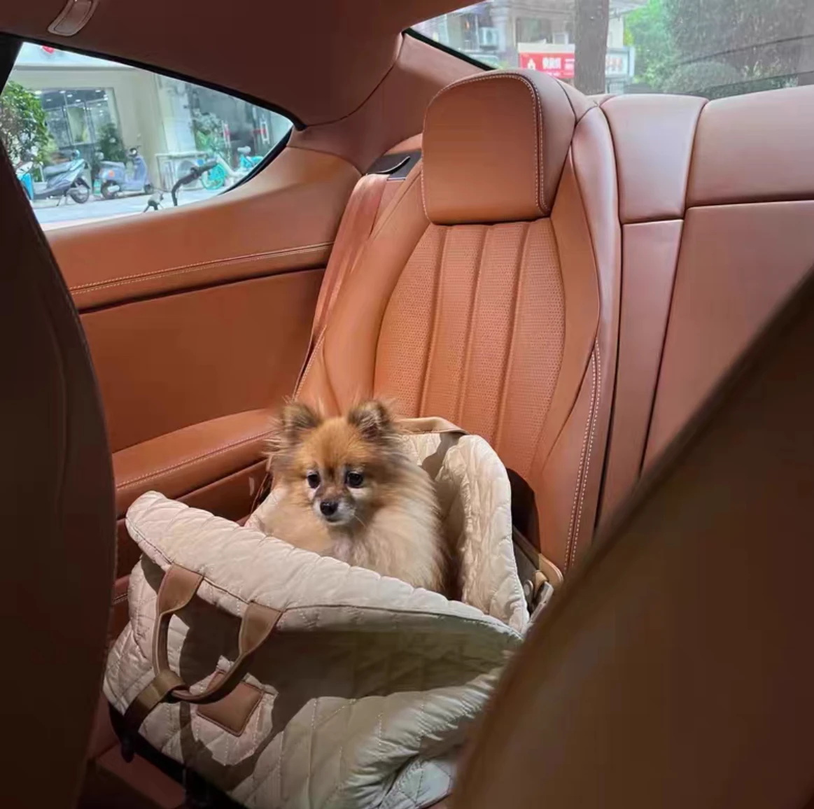 Pets Bag Dog Carrier Detachable Waterproof Nest Simple Dual-use Hand Bill of Lading Dog Car Seat Shoulder Kennel Dog Backpack