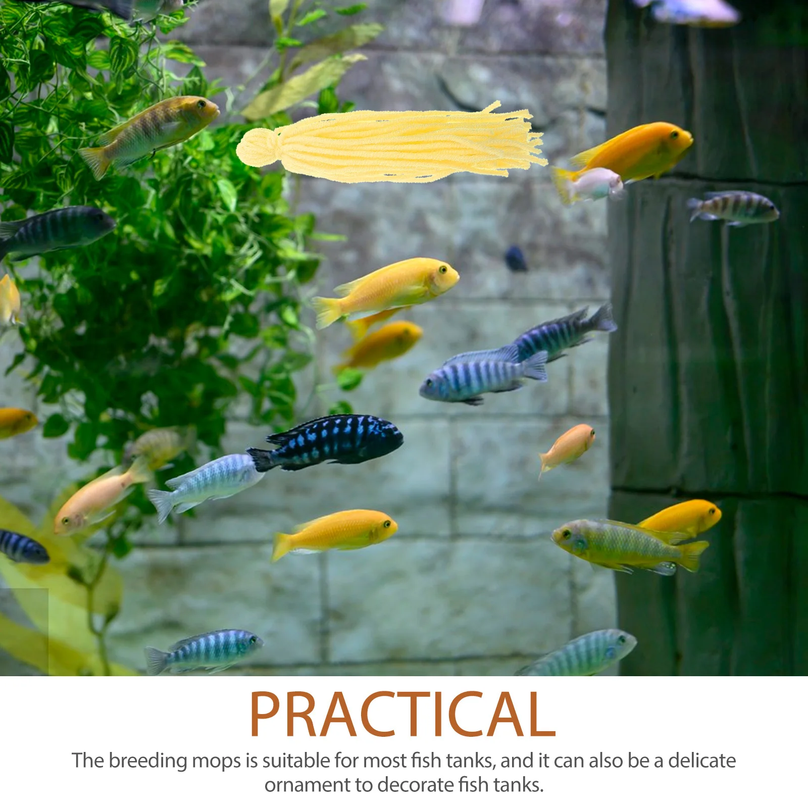 10 قطعة خزان الأسماك ممسحة التورخ غزل الصوف Angelfish تربية حوض السمك ديكور تربية ممسحة لخزان الأسماك مماسح التفرخ