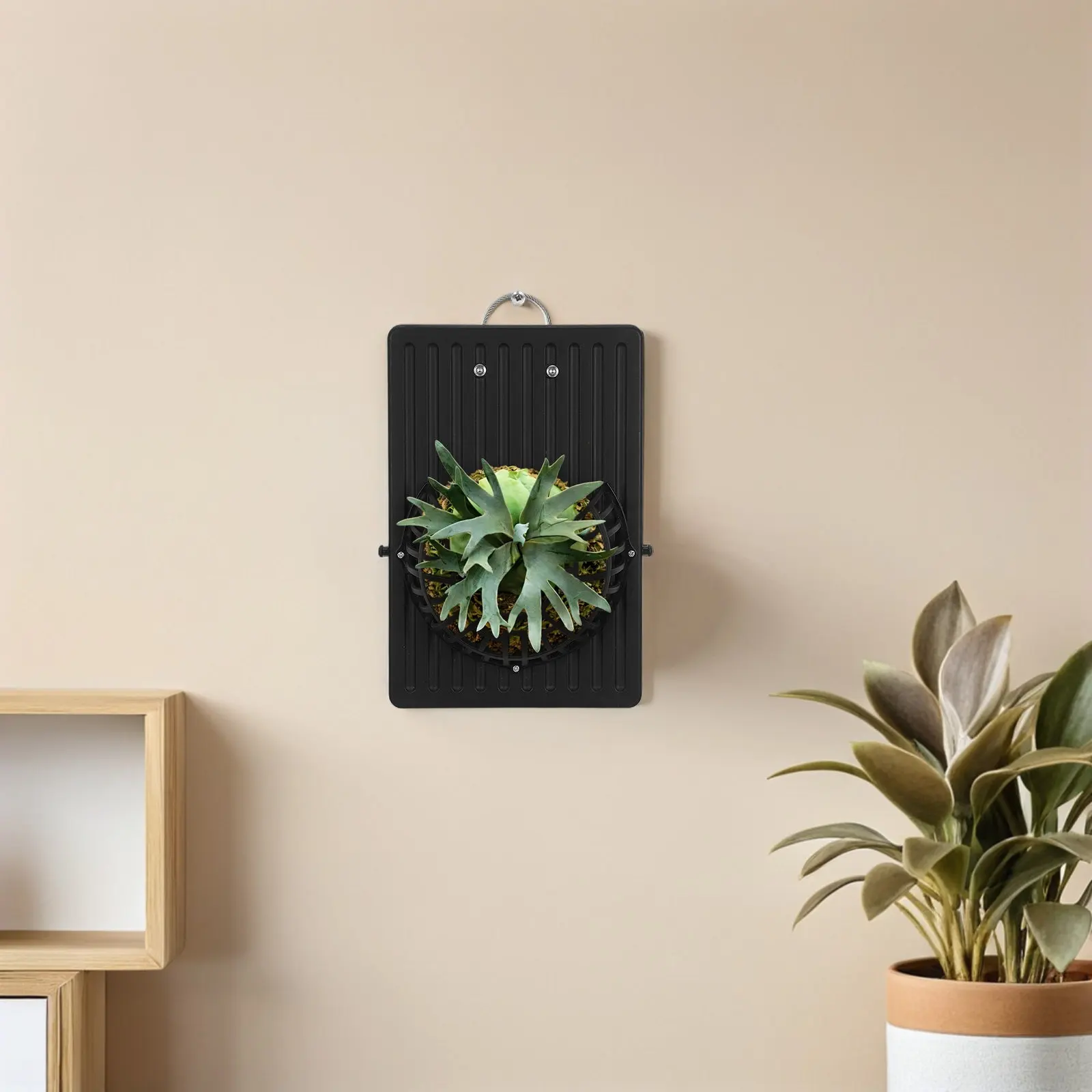 Wall Planter Mounting Board 10.6 X 7 Inch Plastic Vertical Plant Wall Board Fern Mount Orchid Mount Hanging Planter for Indoor