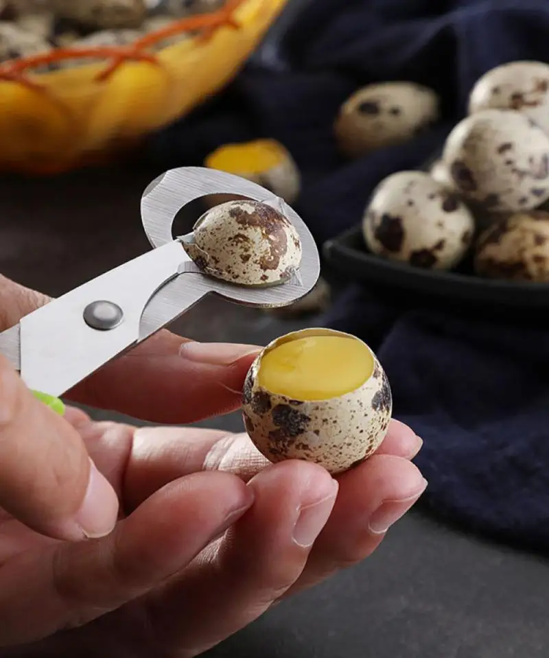 1Pc Quail Egg Shell Scissors Rust Resistant Durable Cigar Cutters Stainless Steel Blade Multifunction Home Kitchen Gadgets Tools