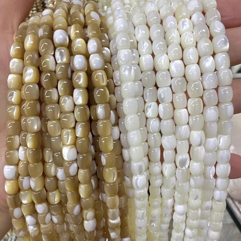 Trochidae Top Shell white brown pillar 6mm 8mm nature for making jewelry necklace 38cm FPPJ wholesale  loose beads