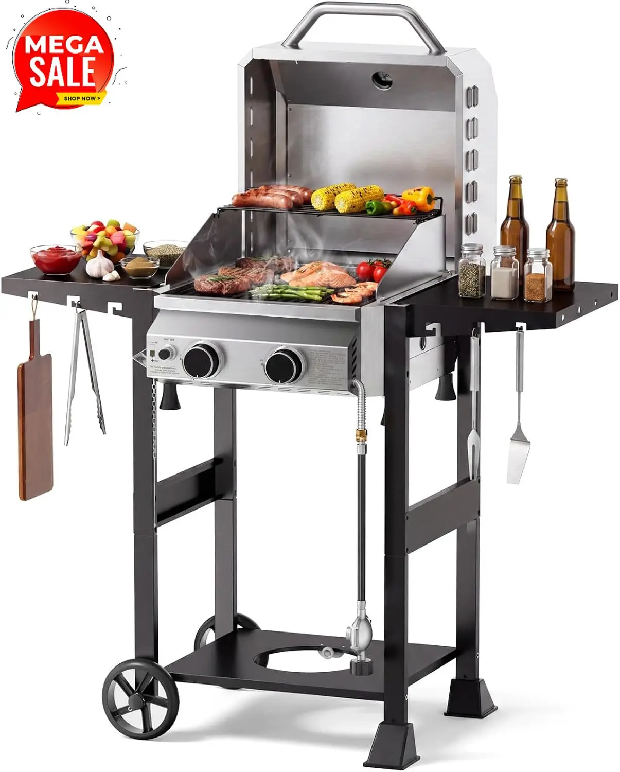 2 Burner Propane Gas Grill, 16,000 BTU Stainless Steel BBQ Grill with Folding Side Tables, Convertible to Tabletop Design, Ename
