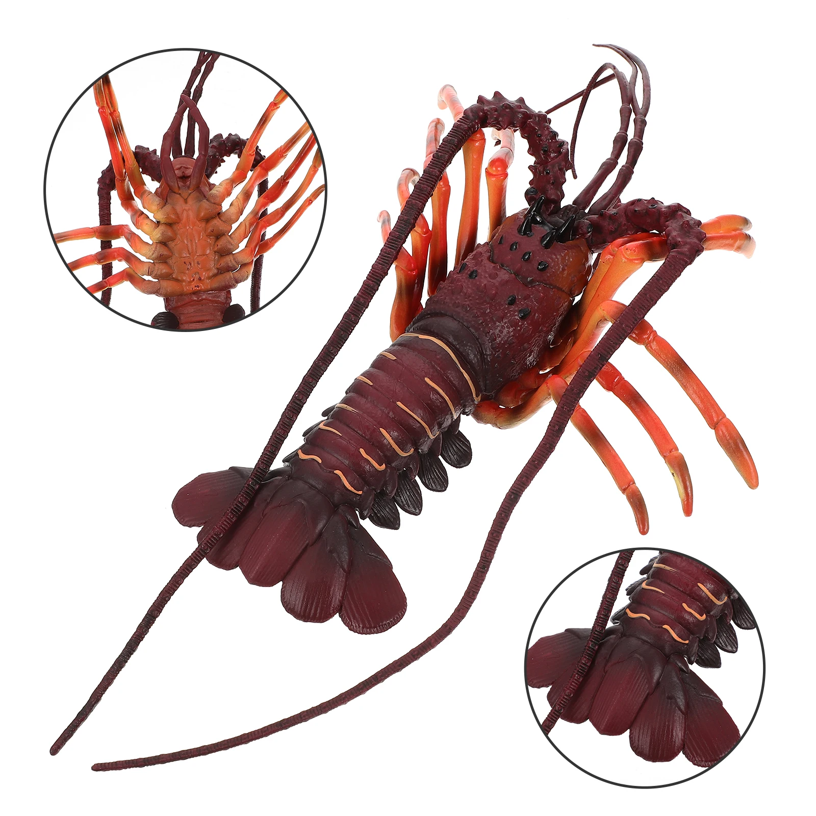 

Lobster Simulated Ornaments Child Decoration Kids Plastic Children's Animal Toy Model