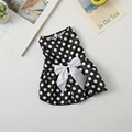 Black Dot