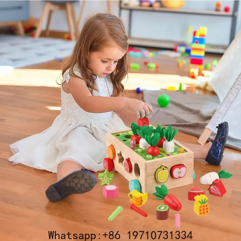 Toddlers Montessori Wooden Multifunction Educational Toys for Baby Childeren's Shape Sorting Toys Preschool Shape match Toy view 5