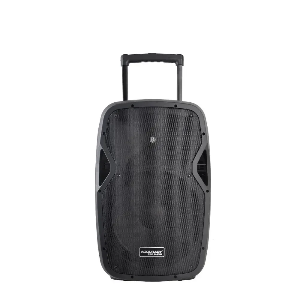 Rechargeable Powerful PA Active Speaker System with USB/SD Accuracy Pro Audio CSL15AMFQ-V2BP-BT 15 Inch 100W Powered Speaker