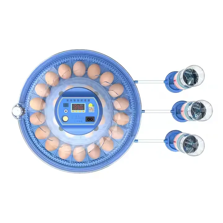 Dual Power 60 Chicken Eggs Incubators Automatic Hatching Machine