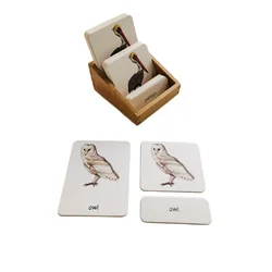 Montessori Language Materials 3 Part Cards of Birds/ Small Wood Tray Kids Learning Resources Early Childhood Education Game