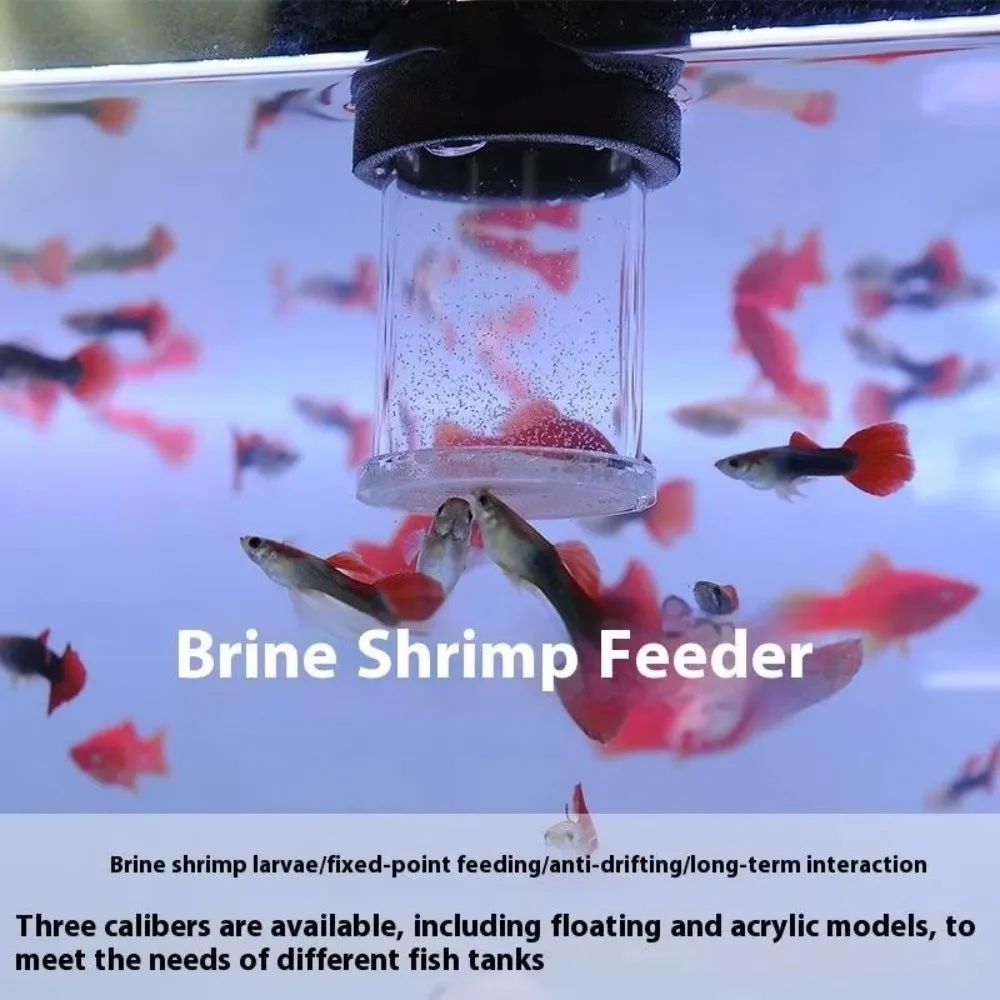 Acrylic Brine Shrimp Feeder Fixed-Point Transparent Fish Tank Feeding Cup with Suction Cup Durable Floating Ring