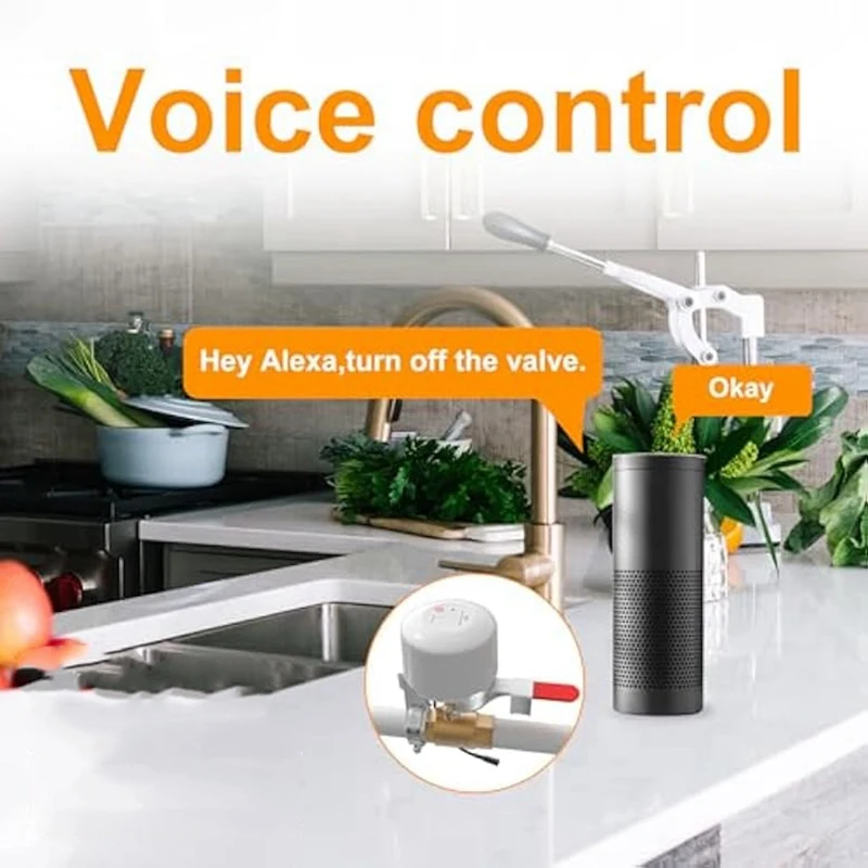 WIFI Smart Water Valve Shut Off Tool Automatic Remote Control On And Off Electric Gas Shutoff Valve EU Plug