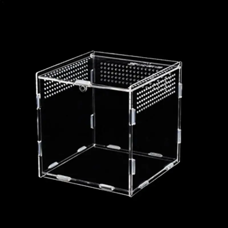 Reptile Terrarium Transparent Reptile Breeding Carrier Lightweight Acrylic Large Feeding Tarantula Habitat Box For Small Animals