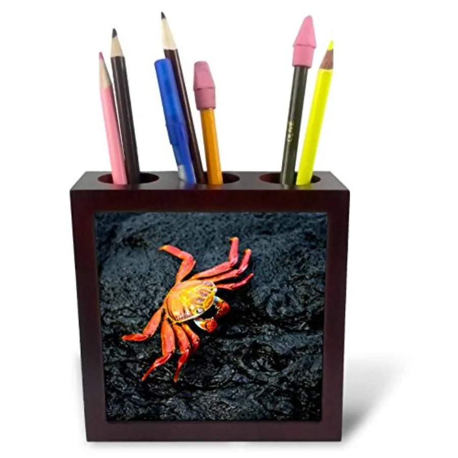 

ph_86018_1 Краб Салли Лайтфут с островов Галапагос, Эквадор - SA07 BFR0010 - Бернард Фриль - Подставка для ручек в виде плитки, 5 дюймов