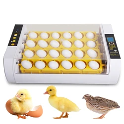 24 Eggs Incubator with Auto Egg Turning Humidity Control and Egg Candler Light Chick Cozy Incubator Hatching Chicken Quail Duck