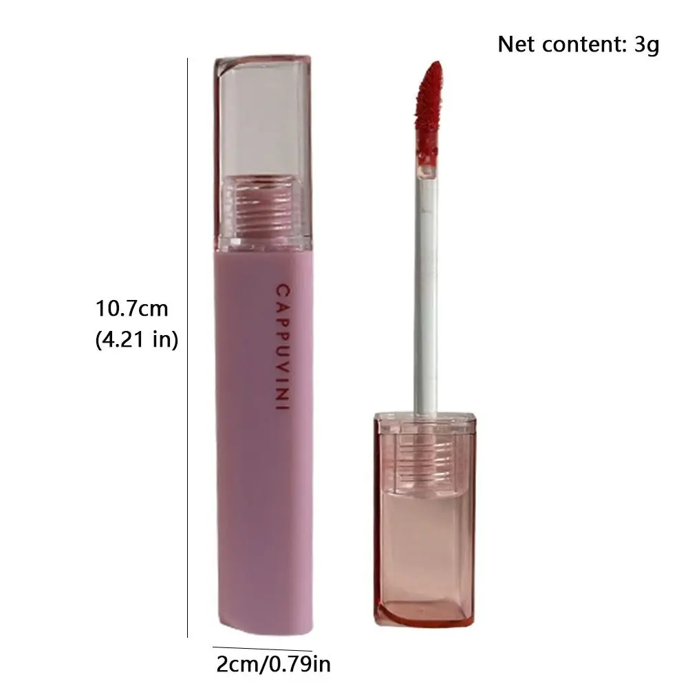 Novo 9 cores fosco lábio esmalte à prova dwaterproof água de longa duração fosco lipgloss veludo batom líquido para mulheres meninas presente