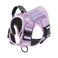 harness